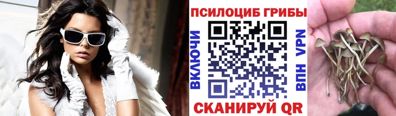 kraken зеркало  купить наркотик  Олонец  Галлюциногенные грибы Psilocybine cubensis 