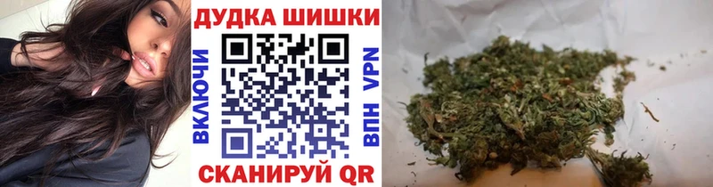 Бошки марихуана сатива Олонец